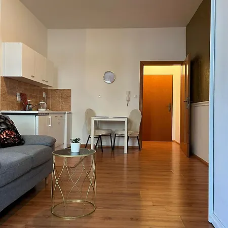 Butique In The Center